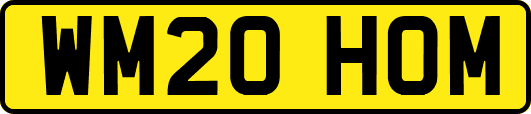 WM20HOM