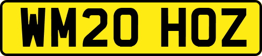 WM20HOZ