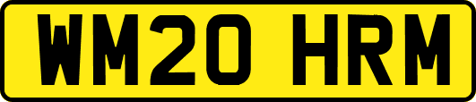 WM20HRM