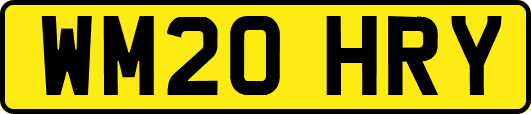 WM20HRY