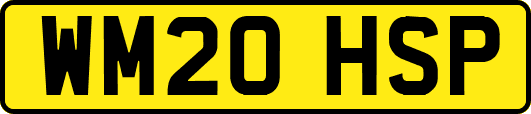 WM20HSP