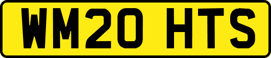 WM20HTS