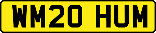 WM20HUM