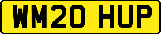 WM20HUP