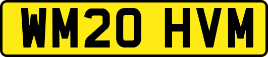 WM20HVM