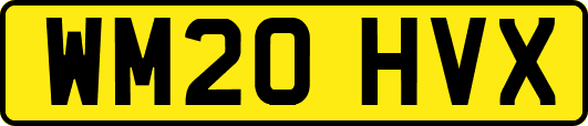 WM20HVX