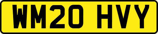 WM20HVY