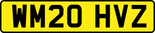 WM20HVZ