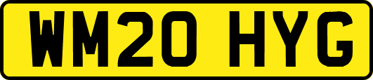 WM20HYG