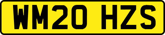 WM20HZS