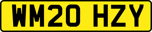 WM20HZY
