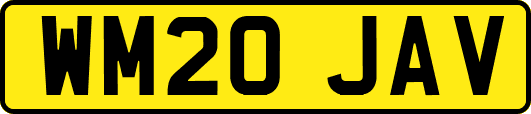 WM20JAV