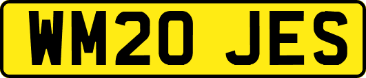 WM20JES