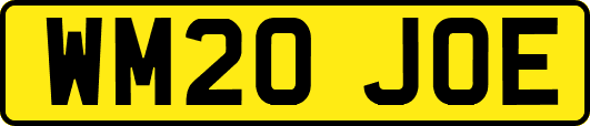 WM20JOE