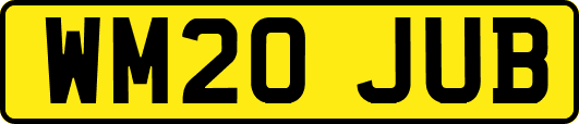 WM20JUB