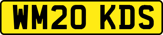 WM20KDS