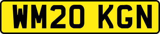 WM20KGN