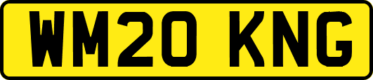 WM20KNG