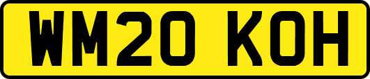 WM20KOH