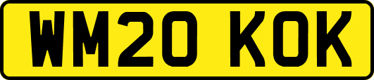 WM20KOK