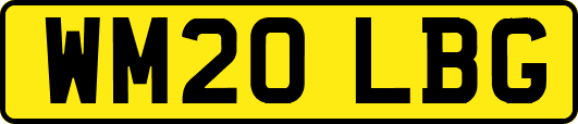 WM20LBG