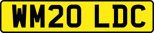 WM20LDC