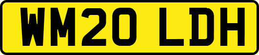 WM20LDH