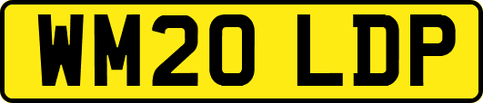 WM20LDP