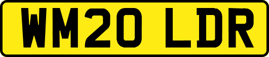WM20LDR