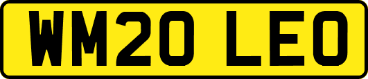 WM20LEO