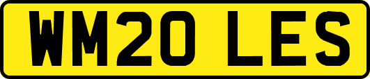 WM20LES