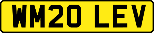 WM20LEV