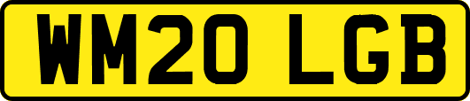 WM20LGB