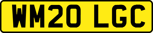 WM20LGC