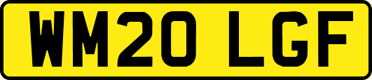 WM20LGF