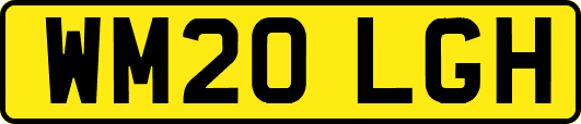WM20LGH