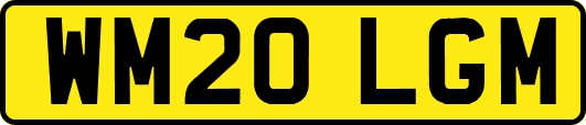 WM20LGM