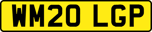 WM20LGP