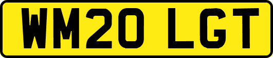 WM20LGT