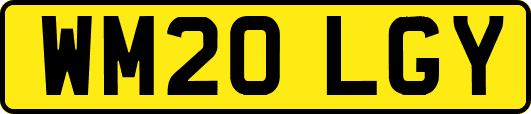 WM20LGY