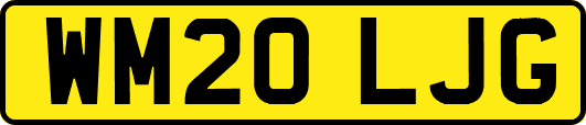 WM20LJG