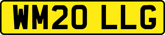 WM20LLG