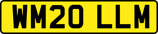 WM20LLM