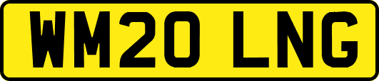 WM20LNG