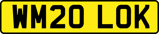 WM20LOK