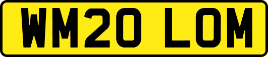 WM20LOM
