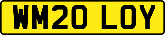 WM20LOY