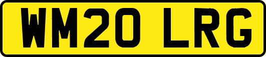 WM20LRG