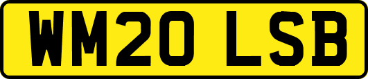 WM20LSB