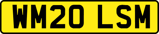 WM20LSM